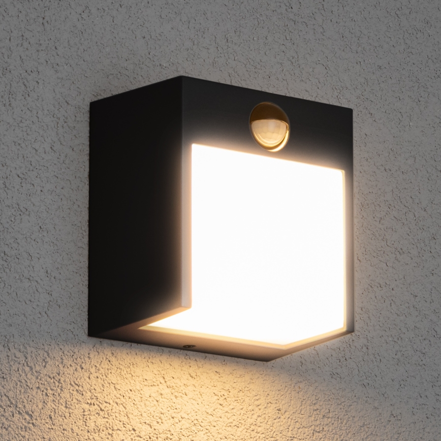Brilagi - LED vanjsko zidno svjetlo sa senzorom TERNI LED/12W/230V crna IP44