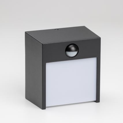 Brilagi - LED vanjsko zidno svjetlo sa senzorom TERNI LED/12W/230V crna IP44