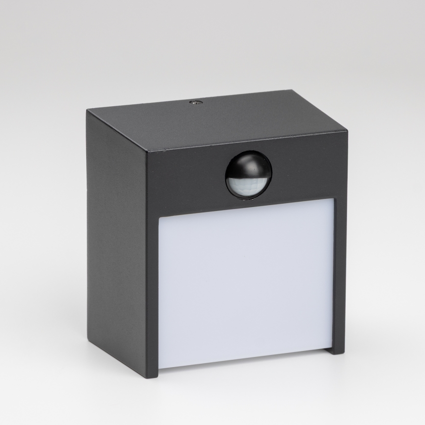 Brilagi - LED vanjsko zidno svjetlo sa senzorom TERNI LED/12W/230V crna IP44