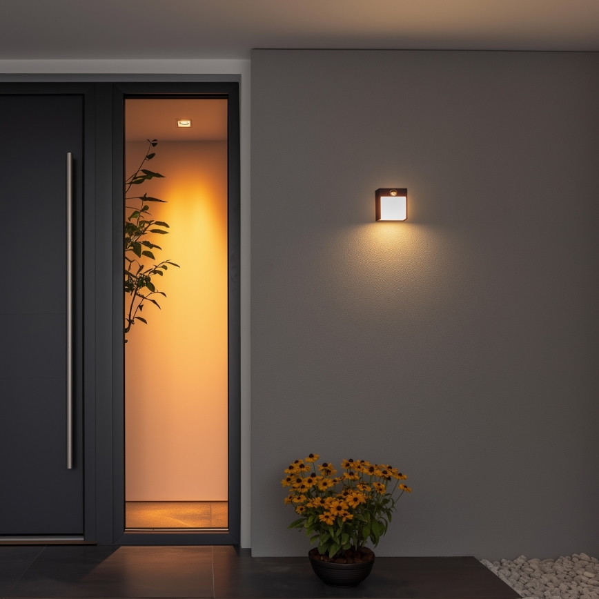 Brilagi - LED vanjsko zidno svjetlo sa senzorom TERNI LED/12W/230V crna IP44