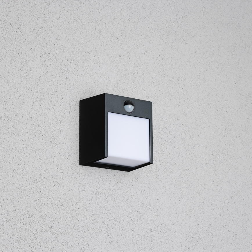 Brilagi - LED vanjsko zidno svjetlo sa senzorom TERNI LED/12W/230V crna IP44