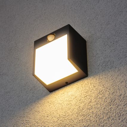 Brilagi - LED vanjsko zidno svjetlo sa senzorom TERNI LED/12W/230V crna IP44
