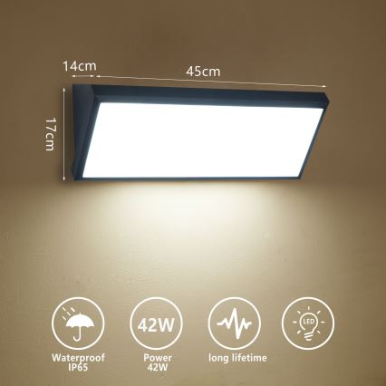 Brilagi - LED vanjsko zidno svjetlo TRIANGLE LED/42W/230V 3000/4000/6500K 45 cm crno IP65