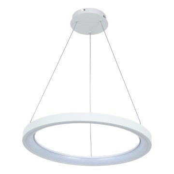 Brilagi - LED viseća svjetiljka na sajli s mogućnošću prigušivanja FALCON SLIM LED/42W/230V 3000-6500K Ø 50 cm bijela + daljinski upravljač