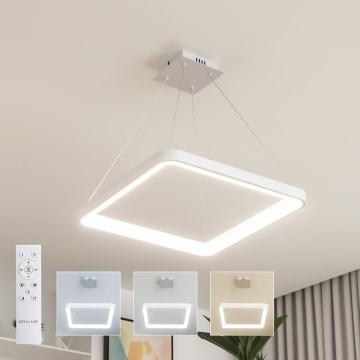 Brilagi - LED viseći luster na kabelu FALCON SLIM, s mogućnošću prigušivanja, LED/50W/230V 3000-6500K 50x50 cm bijela + s daljinskim upravljačem