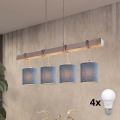 Brilagi - LED viseći luster na kabelu NUBILA 4xE27/60W/230V siva/tamno plava