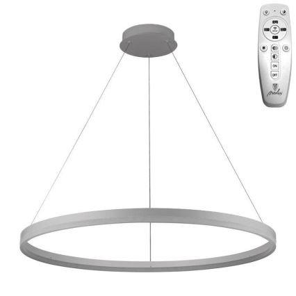 Brilagi - prigušivi LED luster na užetu CIRCLE LED/55W/230V 3000-6500K Ø 80 cm, srebrni + daljinski upravljač