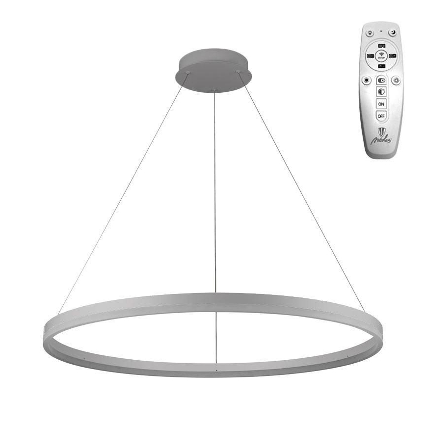 Brilagi - prigušivi LED luster na užetu CIRCLE LED/55W/230V 3000-6500K Ø 80 cm, srebrni + daljinski upravljač