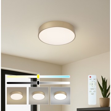 Brilagi - LED zatemnjiva stropna svjetiljka POOL LED/36W/230V 3000-6000K Ø 30 cm zlatna + s daljinskim upravljačem