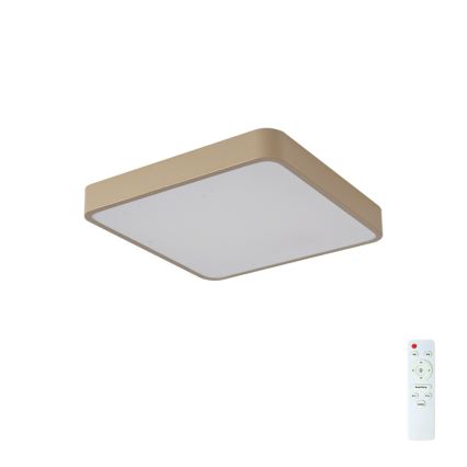 BRILAGI - LED stropna svjetiljka POOL SQUARE, prigušiva, 48W/230V, 3000-6000K, 50x50 cm, bež, s daljinskim upravljačem