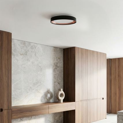 Brilagi - LED stropna svjetiljka s prigušivanjem WALDO LED/48W/230V 3000-6500K Ø 40 cm crna/zlatna + daljinski upravljač