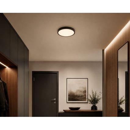 BRILAGI - LED stropno svjetlo za kupaonicu ZENNA LED/18W/230V Ø 29,5 cm IP44 crna