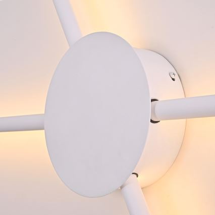 Brilagi - LED Zidna svjetiljka LUGO QUATTRO LED/16W/230V bijela