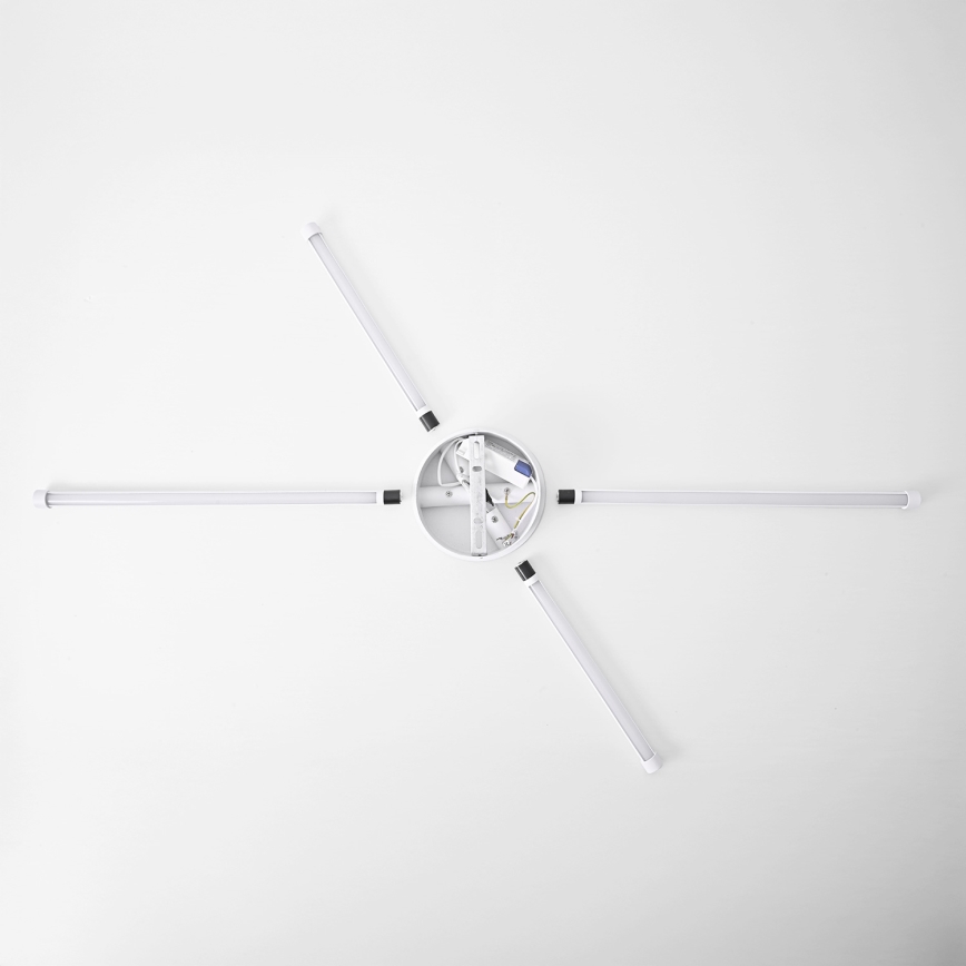 Brilagi - LED Zidna svjetiljka LUGO QUATTRO LED/16W/230V bijela