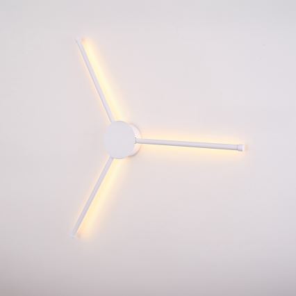 Brilagi - LED Zidna svjetiljka LUGO TRE LED/14W/230V bijela
