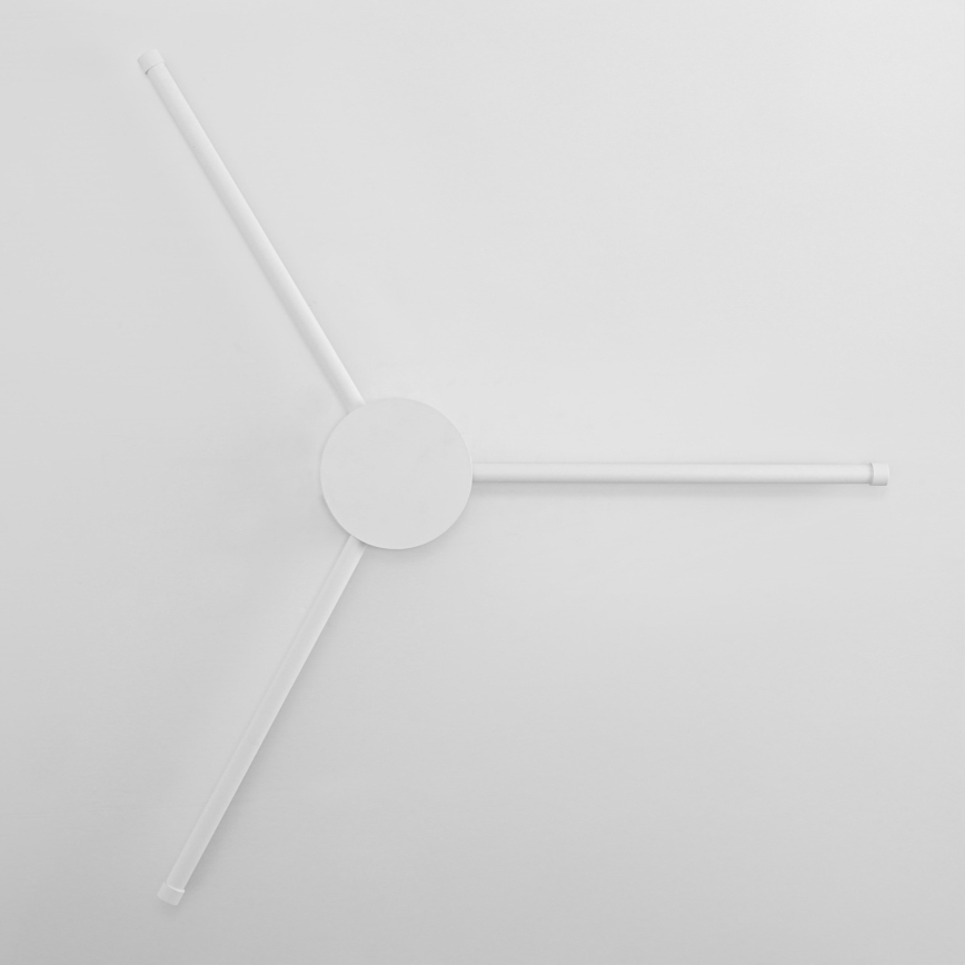 Brilagi - LED Zidna svjetiljka LUGO TRE LED/14W/230V bijela