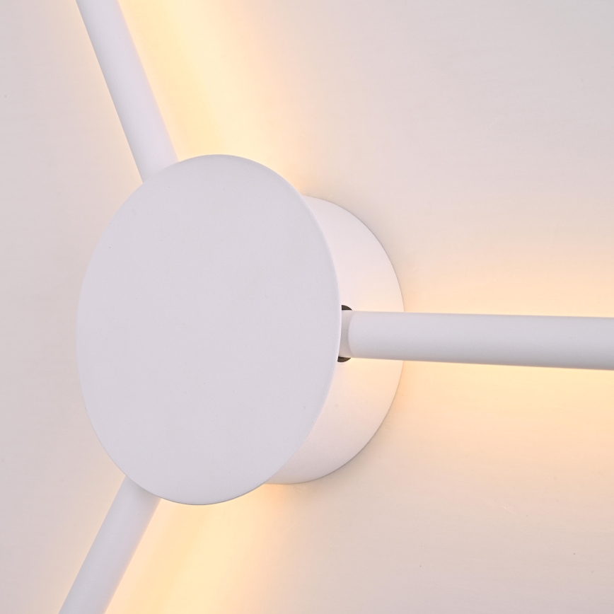 Brilagi - LED Zidna svjetiljka LUGO TRE LED/14W/230V bijela