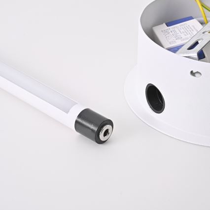 Brilagi - LED Zidna svjetiljka LUGO TRE LED/14W/230V bijela