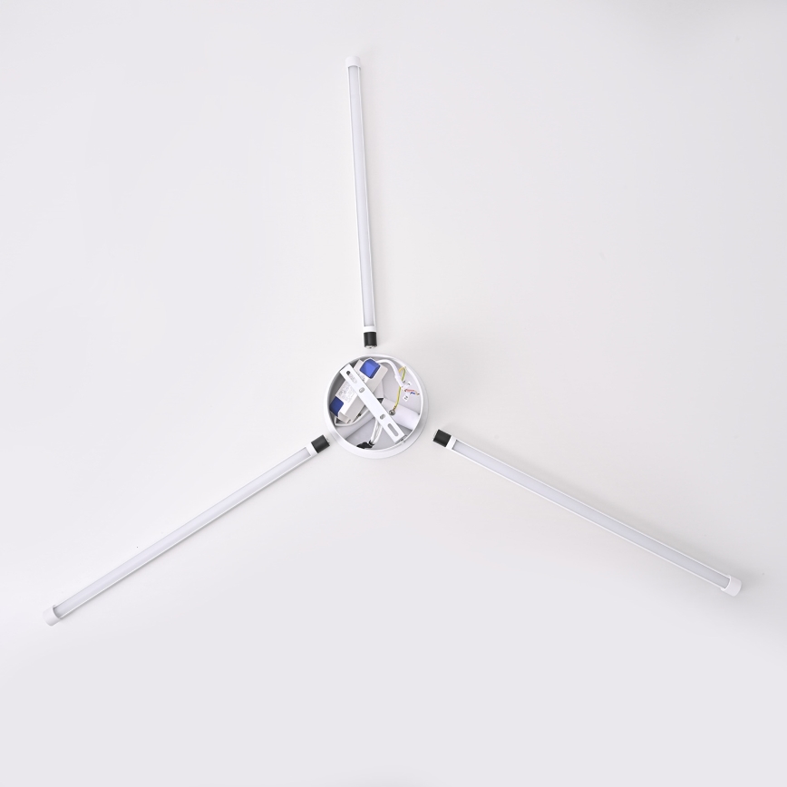 Brilagi - LED Zidna svjetiljka LUGO TRE LED/14W/230V bijela