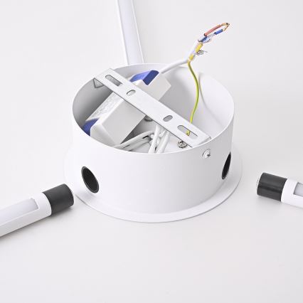 Brilagi - LED Zidna svjetiljka LUGO TRE LED/14W/230V bijela