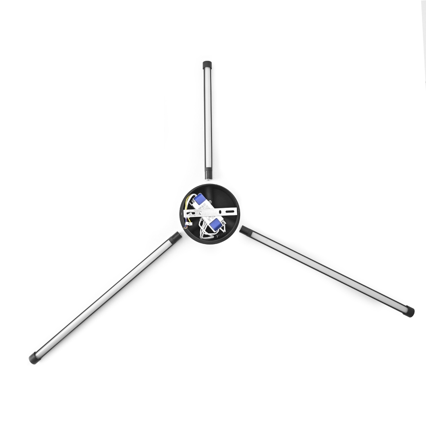 Brilagi - LED Zidna svjetiljka LUGO TRE LED/14W/230V crna