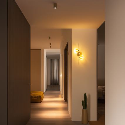 Brilagi - LED zidna svjetiljka MILLA 3xG9/3W/230V crni krom/zlatna