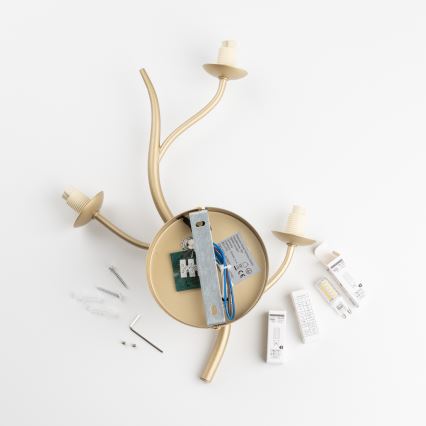 Brilagi - LED Zidna svjetiljka MISTEL 3xG9/3W/230V zlatna/bijela