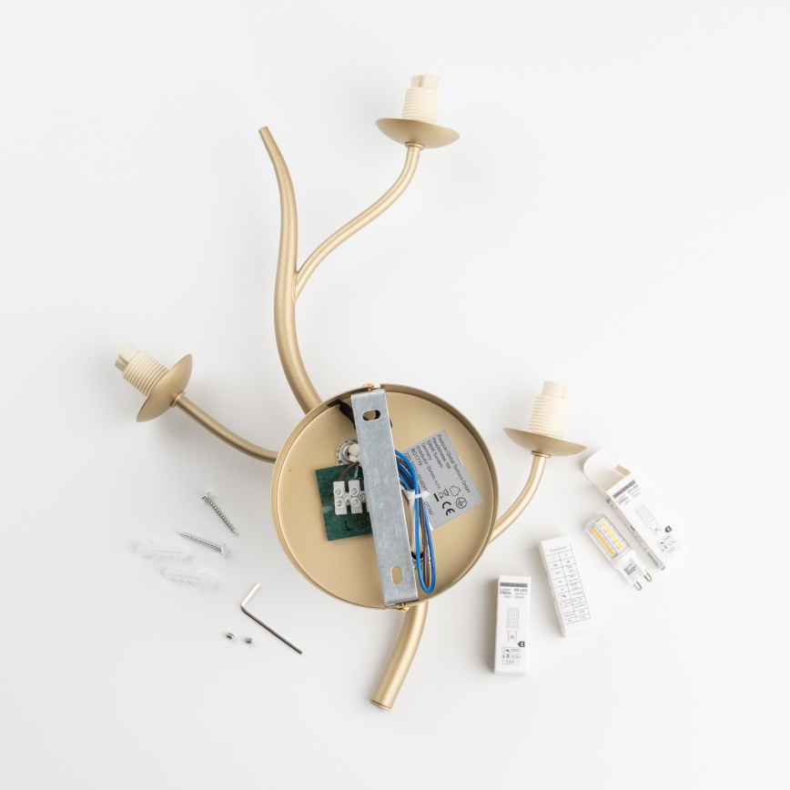 Brilagi - LED Zidna svjetiljka MISTEL 3xG9/3W/230V zlatna/bijela