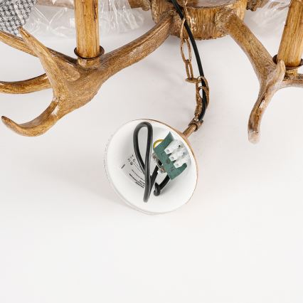 Brilagi - Luster na lancu DEER 6xE14/10W/230V Ø 80 cm u obliku jelenskih rogova