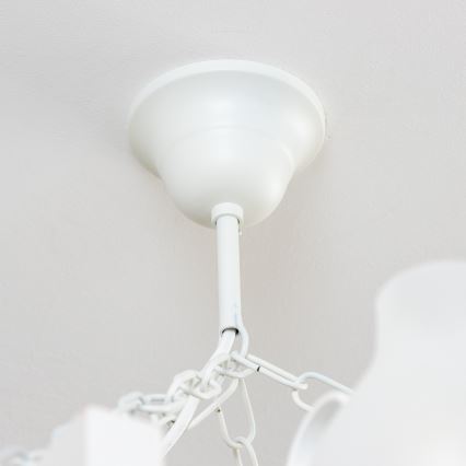 Brilagi - Luster na lancu QUEEN 8xE14/40W/230V buk/krem