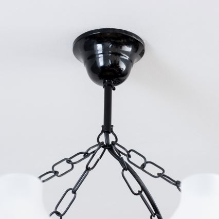 Brilagi - Luster na lancu QUEEN 8xE14/40W/230V bukva/orah