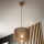 Brilagi - Luster na sajli ANTHONY 1xE27/60W/230V hrast/smeđa
