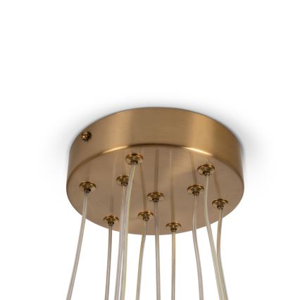 Brilagi - Luster na sajli GLOBE 10xE14/15W/230V bijela