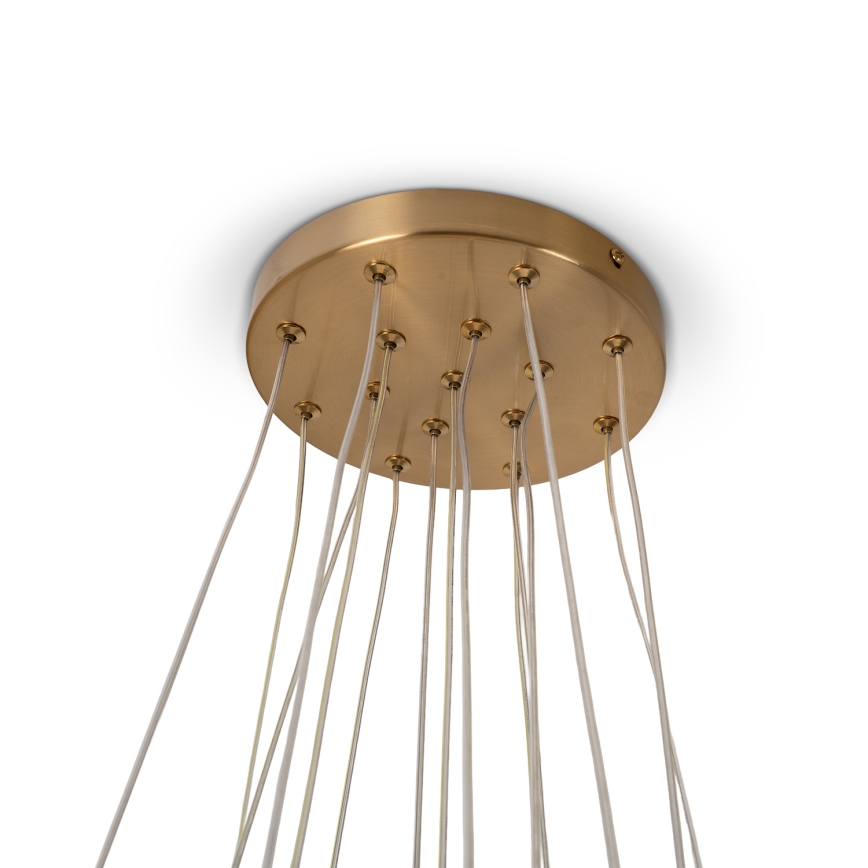 Brilagi - Luster na sajli GLOBE 15xE14/15W/230V bijela
