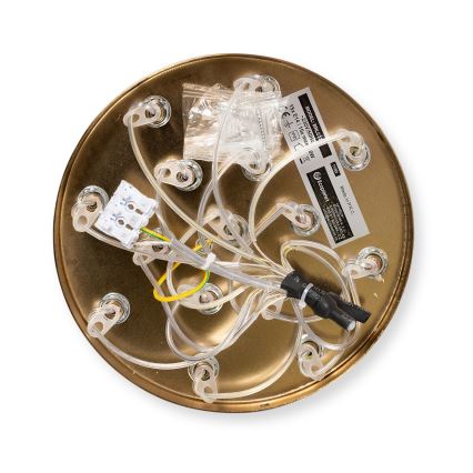 Brilagi - Luster na sajli GLOBE 15xE14/15W/230V bijela