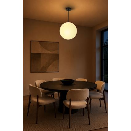 BRILAGI - Luster na sajli POLOS 1xE27/40W/230V pr. 30 cm crna
