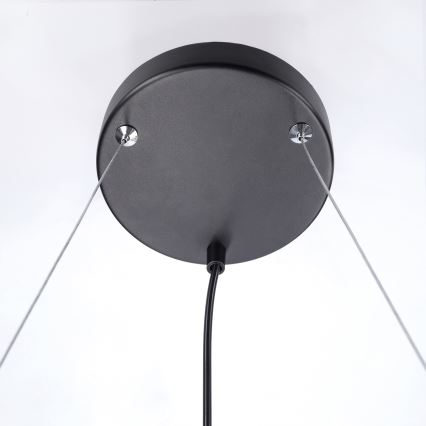 BRILAGI - Luster na sajli SELE 4xGU10/30W/230V crna