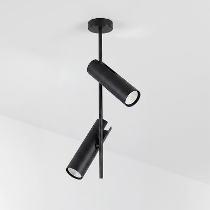 Brilagi - Luster na štapu BRANCH 2xGU10/30W/230V crna