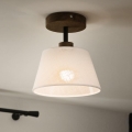 Brilagi - Nadgradni luster ANTHONY 1xE14/60W/230V hrast/bijela