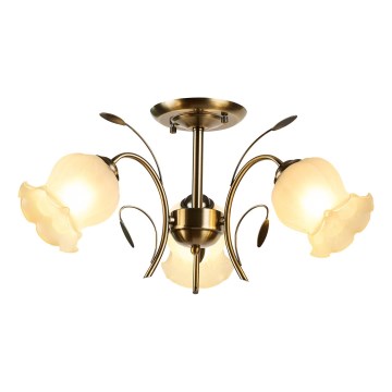 Brilagi - Nadgradni luster FLORA 3xE27/60W/230V brončana