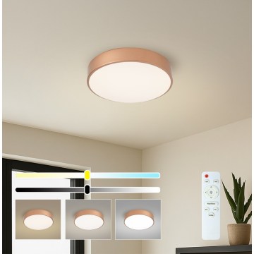 Brilagi - POOL LED stropna svjetiljka s mogućnošću prigušivanja, 36W/230V, 3000–6000K, promjer 30 cm, brončana, s daljinskim upravljačem
