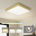 Brilagi - POOL SQUARE LED stropna svjetiljka 48W 230V 3000/4000/6000K 50x50 cm zlatna
