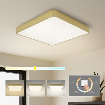 Brilagi - POOL SQUARE LED stropna svjetiljka 48W 230V 3000/4000/6000K 50x50 cm zlatna