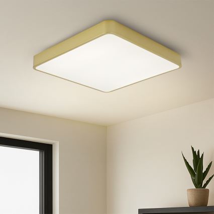 Brilagi - POOL SQUARE LED stropna svjetiljka 48W 230V 3000/4000/6000K 50x50 cm zlatna