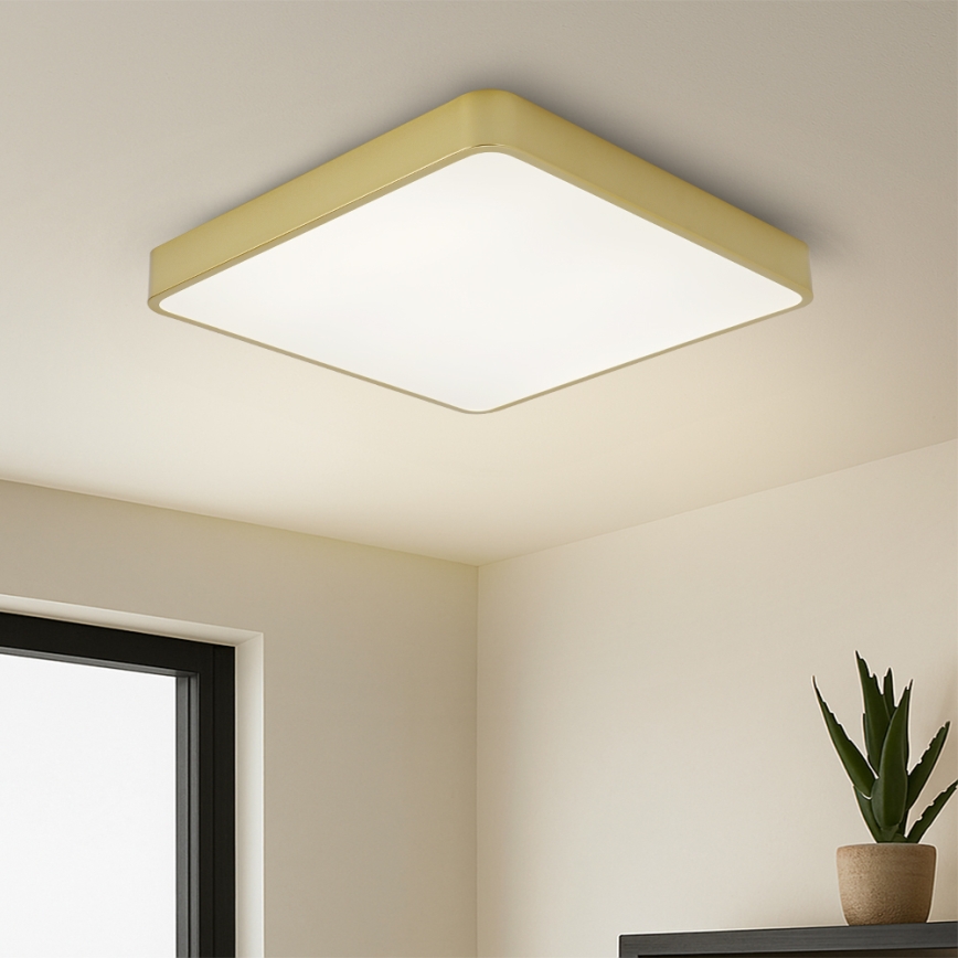 Brilagi - POOL SQUARE LED stropna svjetiljka 48W 230V 3000/4000/6000K 50x50 cm zlatna