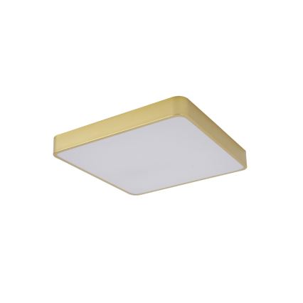 Brilagi - POOL SQUARE LED stropna svjetiljka 48W 230V 3000/4000/6000K 50x50 cm zlatna