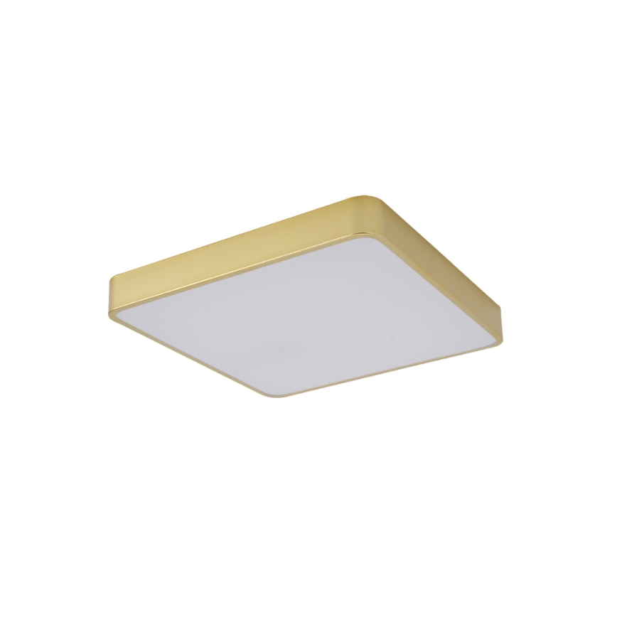 Brilagi - POOL SQUARE LED stropna svjetiljka 48W 230V 3000/4000/6000K 50x50 cm zlatna