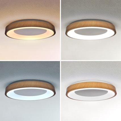 Brilagi - LED prigušivo stropno svjetlo DORIA LED/60W/230V 3000-6500K Ø 60 cm + daljinski upravljač