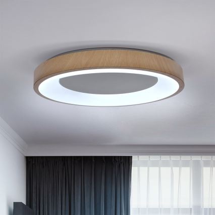 Brilagi - LED prigušivo stropno svjetlo DORIA LED/60W/230V 3000-6500K Ø 60 cm + daljinski upravljač
