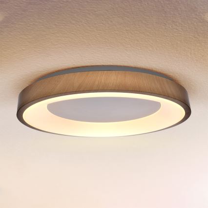 Brilagi - LED prigušivo stropno svjetlo DORIA LED/60W/230V 3000-6500K Ø 60 cm + daljinski upravljač